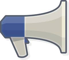  Facebook Ads (Pro) 